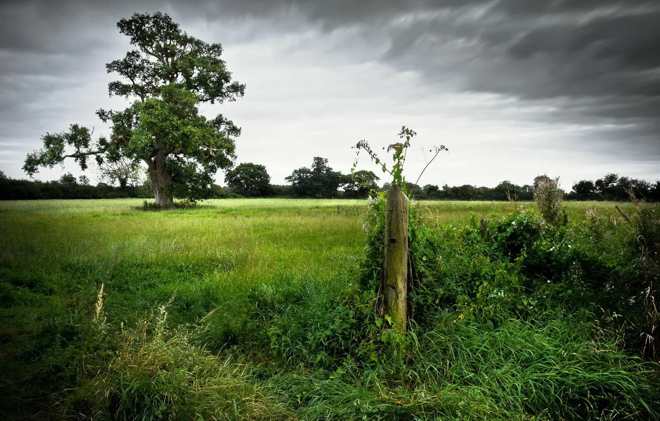 Photo wallpaper field, landscape, the fence
