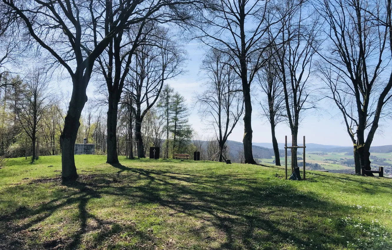 Photo wallpaper forest, the sky, grass, trees, bench, monument