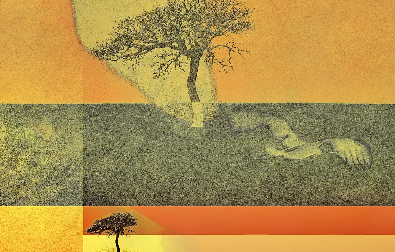 Photo wallpaper tree, color, form
