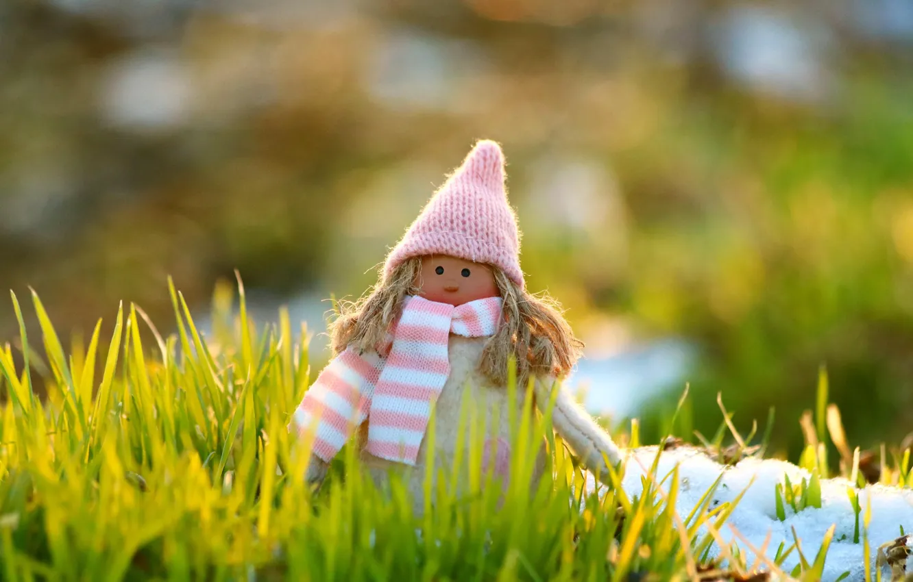 Photo wallpaper grass, toy, doll, girl, doll