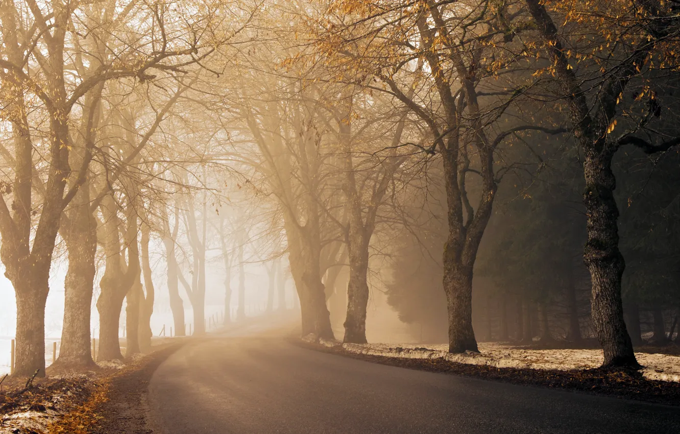 Photo wallpaper road, autumn, asphalt, light, snow, trees, fog, the way
