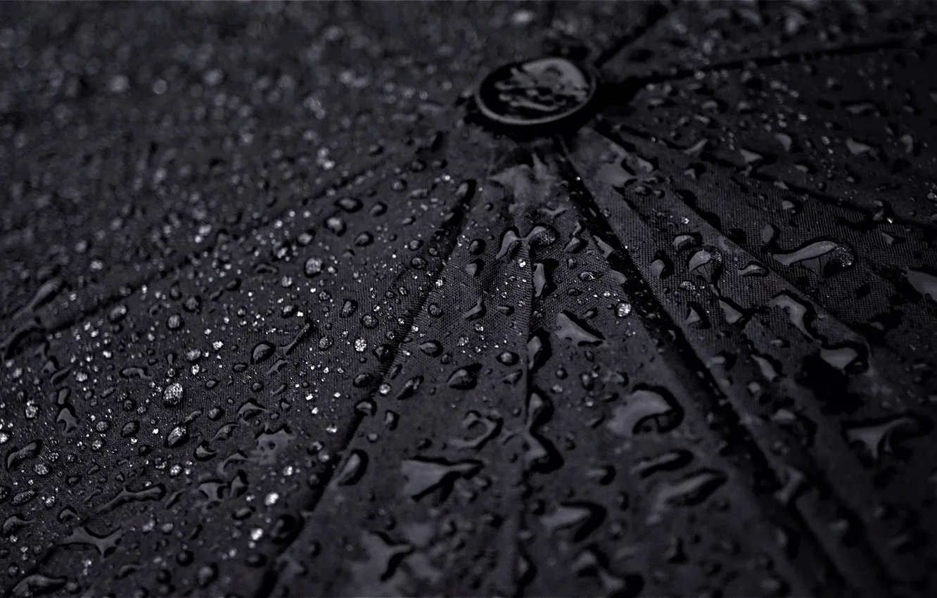 Photo wallpaper wallpaper, rain, umbrella, macro, drops, picture