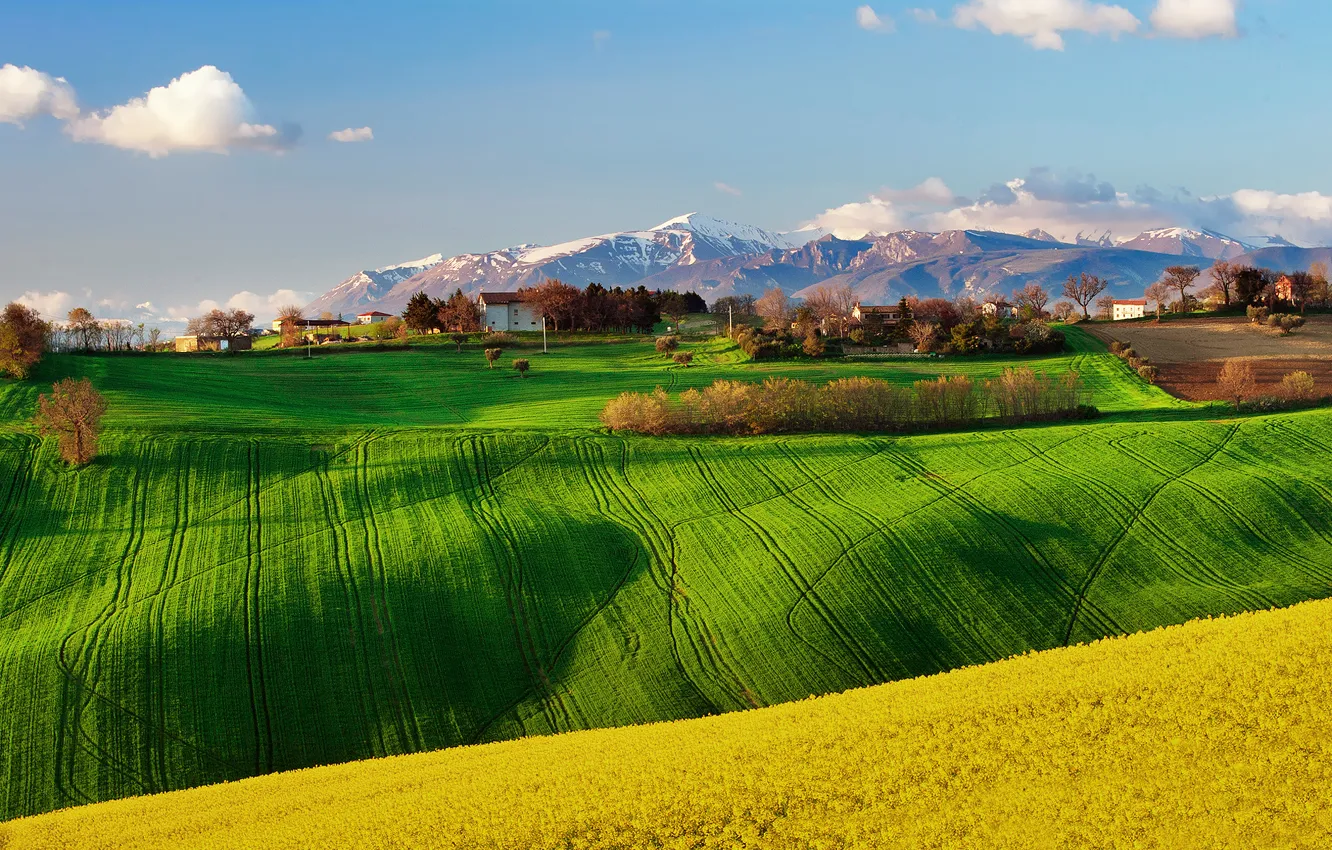 Photo wallpaper field, the sky, spring, Italy, April, rape