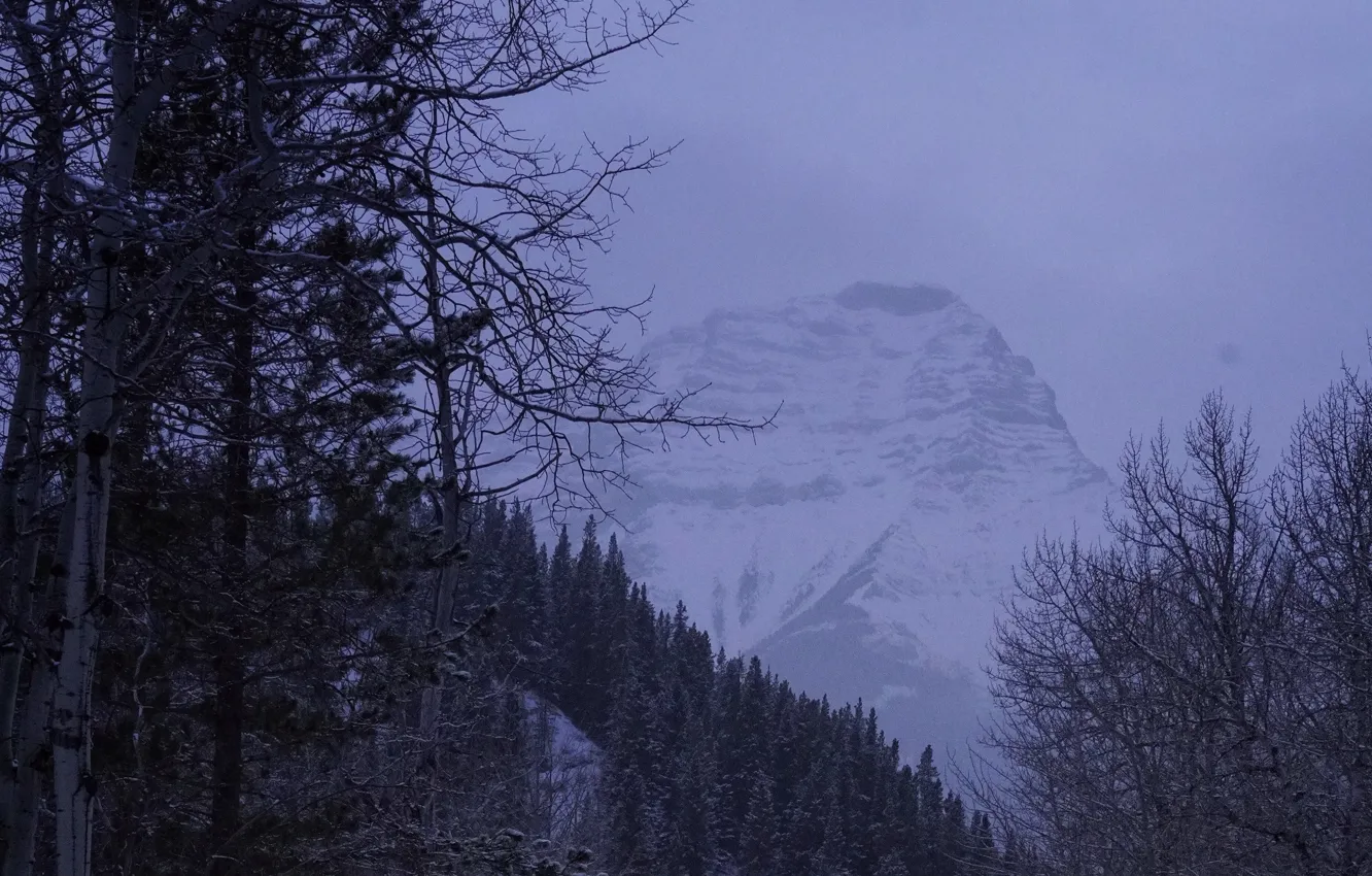 Photo wallpaper winter, the sky, snow, trees, mountains, nature, rocks