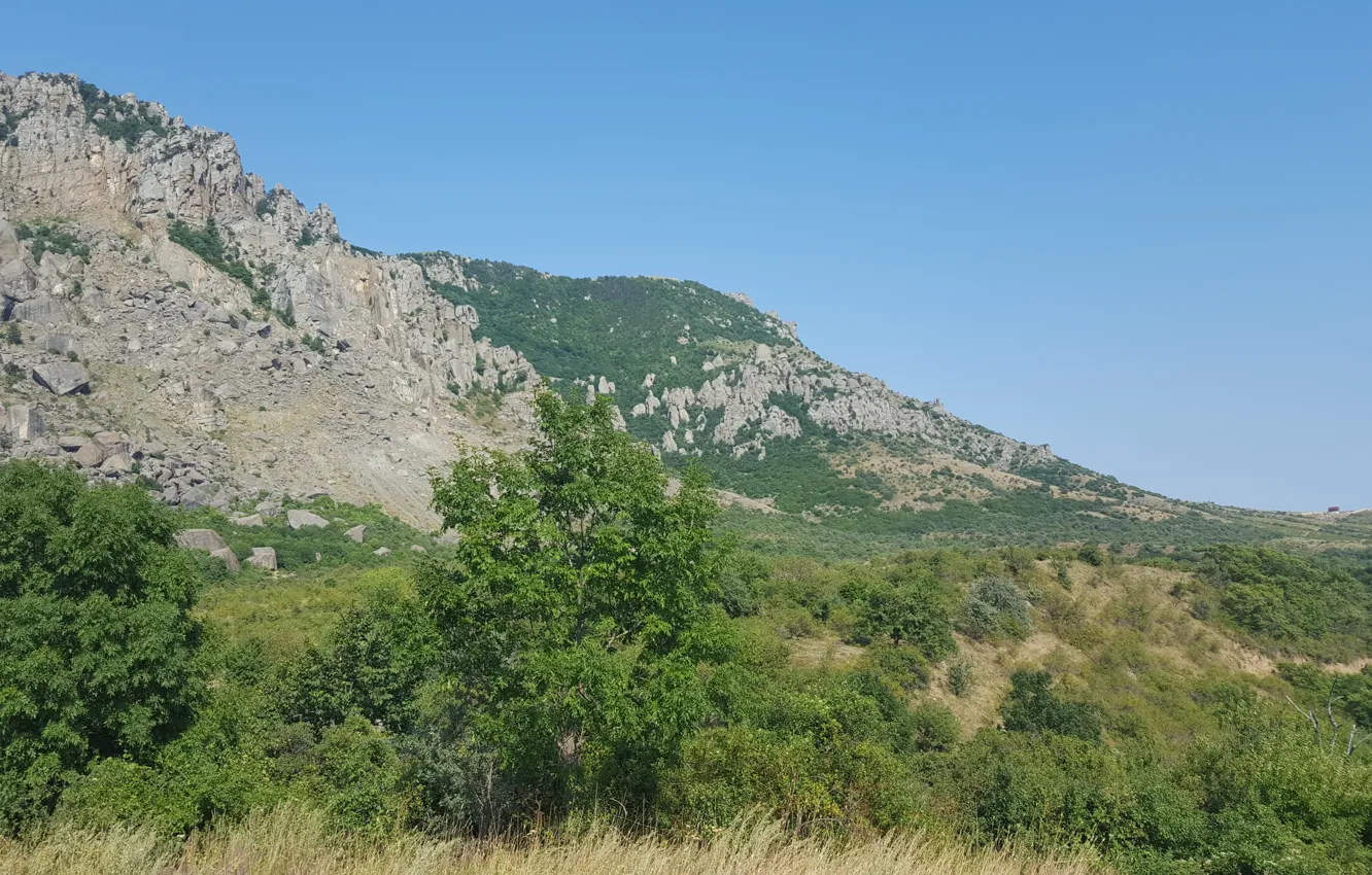 Photo wallpaper landscape, mountains, nature, Crimea, Demerdzhi Mountain