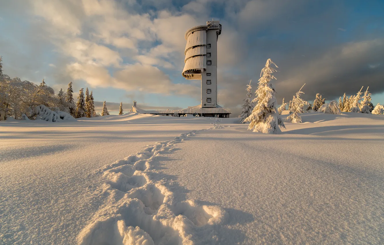Photo wallpaper winter, frost, field, forest, clouds, snow, traces, ate