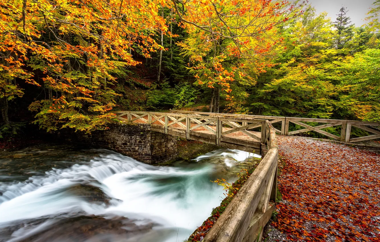 Photo wallpaper autumn, bridge, river