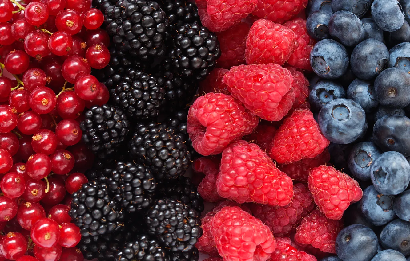 Photo wallpaper colorful, fresh, blue, food, fruit, blueberry, blackberry, berries
