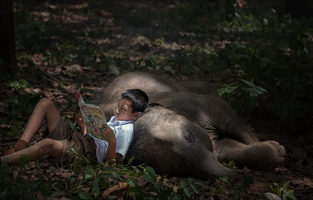 Photo wallpaper boy, book, two, boy, reading, book, elephant, elephant