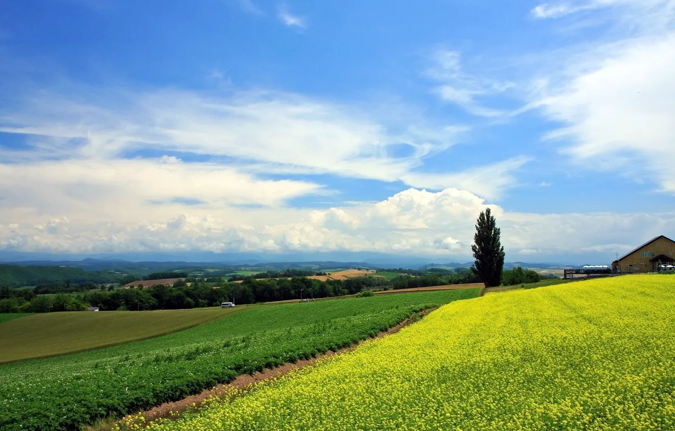 Photo wallpaper nature, farm, Town