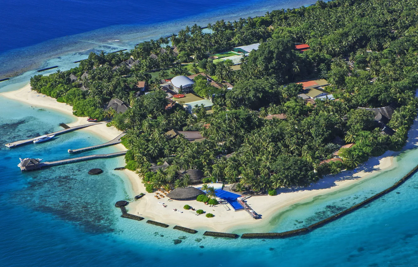 Photo wallpaper palm trees, the ocean, island, resort