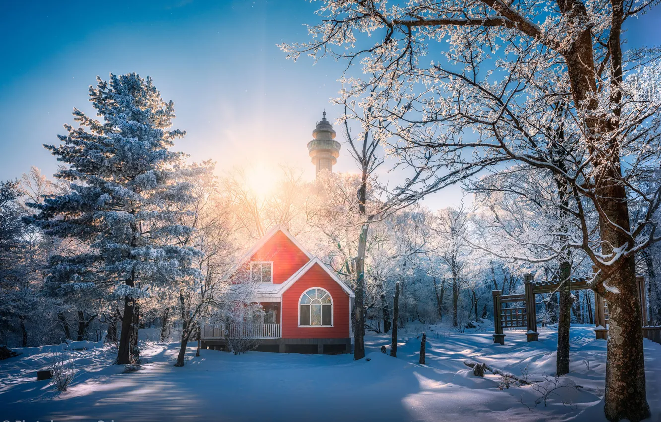 Photo wallpaper winter, the sun, snow, nature, house