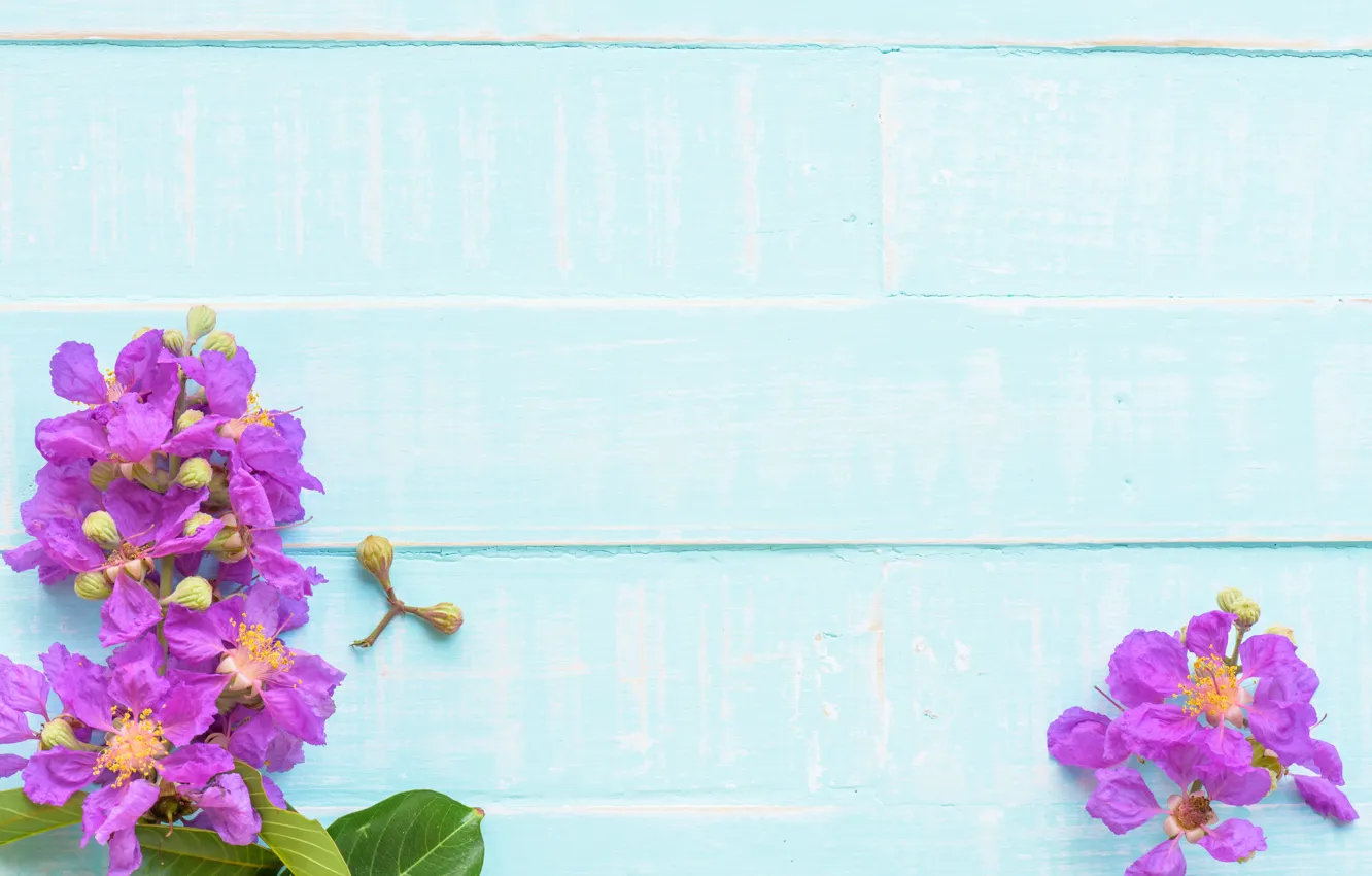 Photo wallpaper flowers, background, tree, blue, Board, wood, blue, flowers