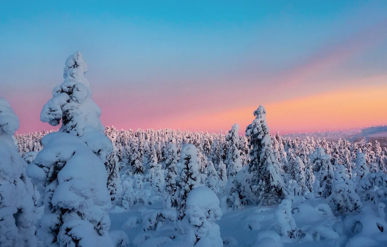 Photo wallpaper winter, the sky, clouds, snow, trees, sunset, sky, landscape