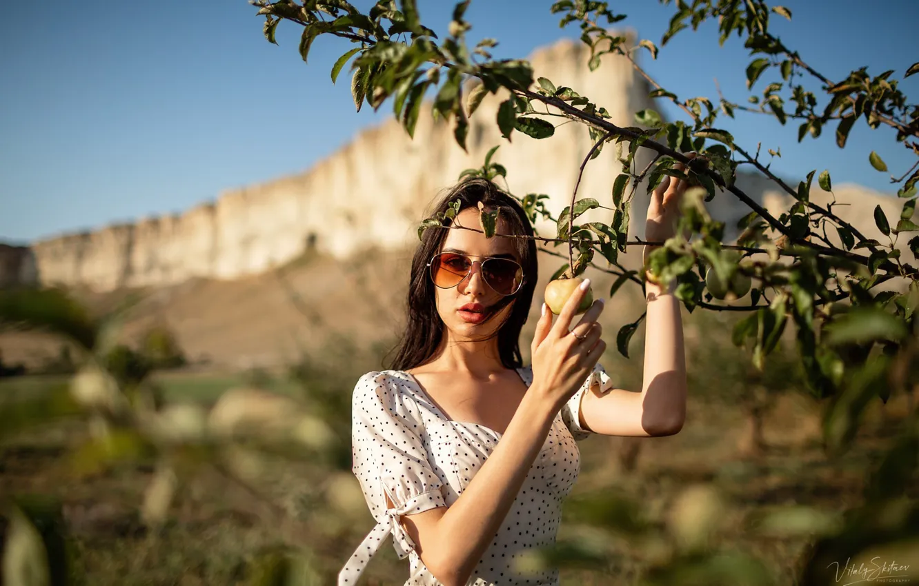 Photo wallpaper look, girl, the sun, branches, glasses, Vitaly Skitaev