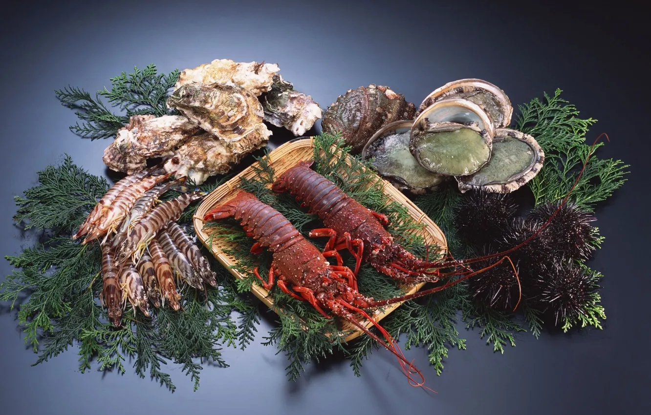 Photo wallpaper greens, lobster, delicious, shrimp, seafood, oysters