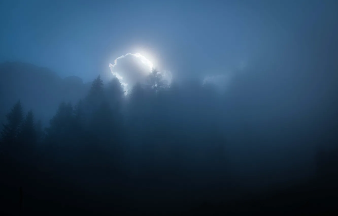 Photo wallpaper forest, misty, mountains, clouds, sunlight, foggy, Sunray