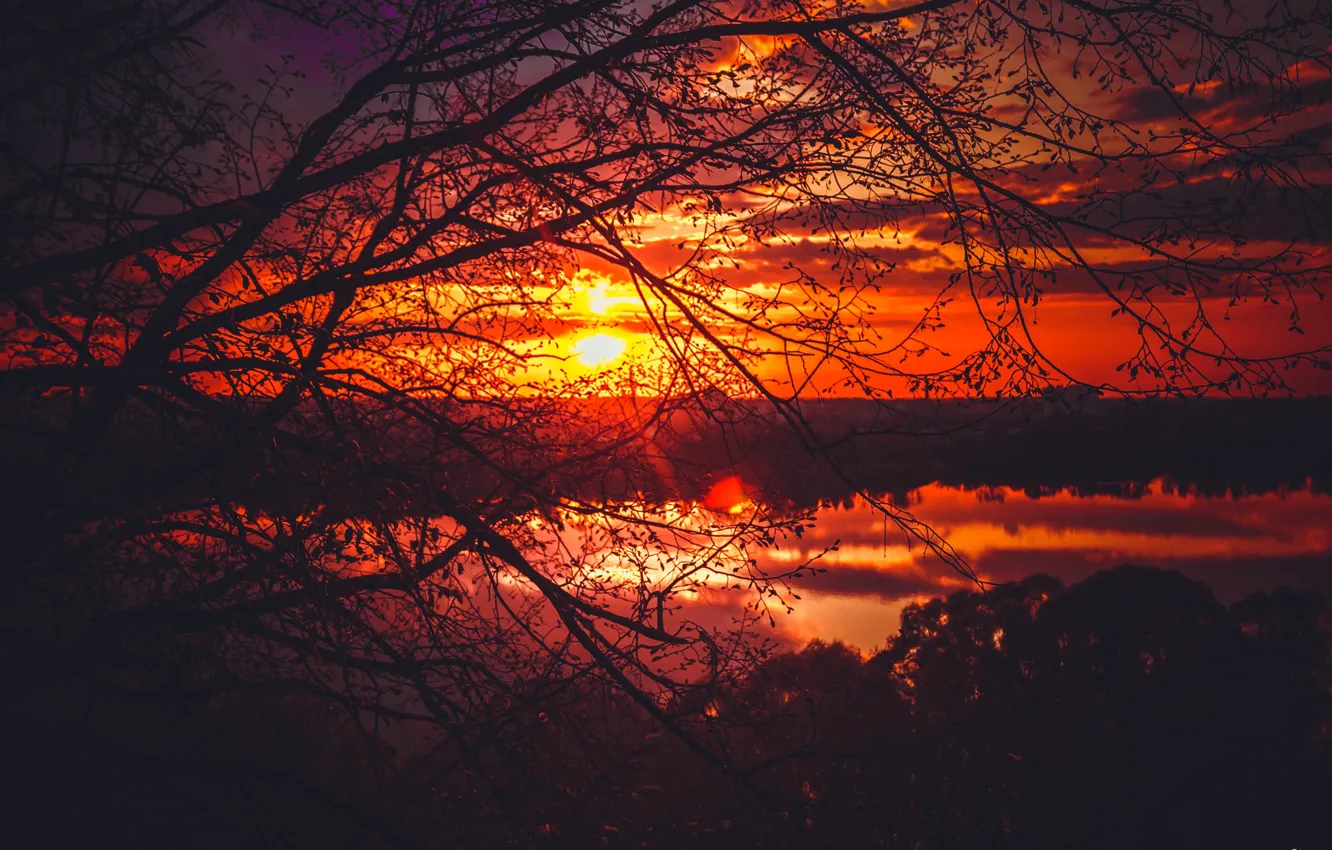 Photo wallpaper the sky, the sun, rays, trees, landscape, sunset, the city, river