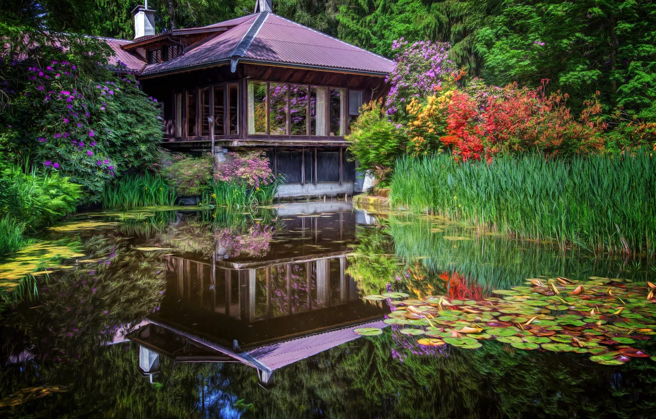 Photo wallpaper flowers, pond, Japan, pagoda, house, irises