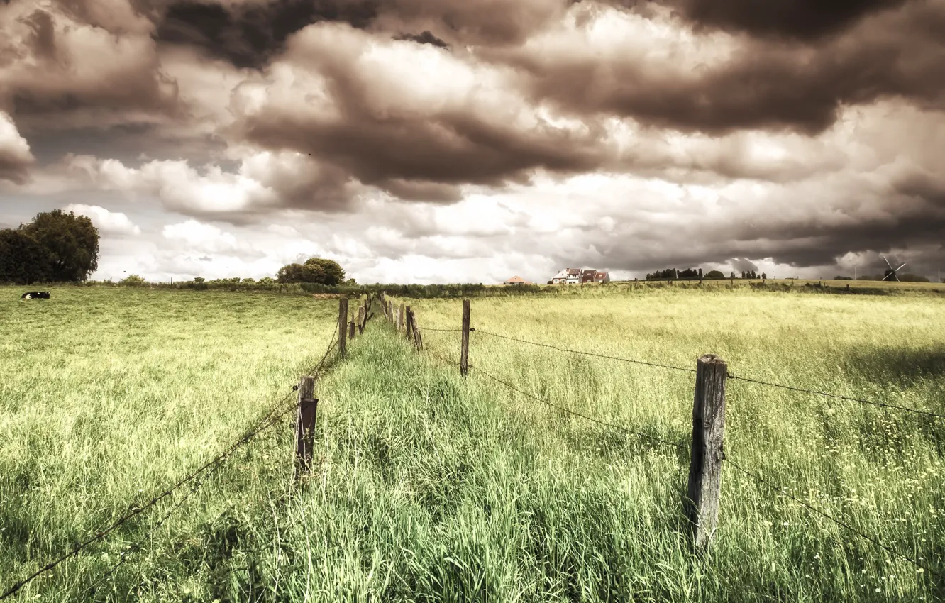 Photo wallpaper field, summer, nature, the fence