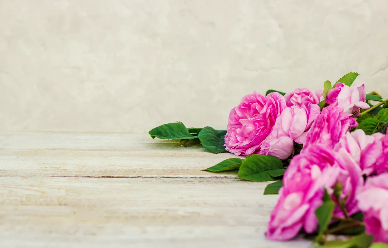 Photo wallpaper flowers, roses, petals, pink, wood, pink, flowers, petals