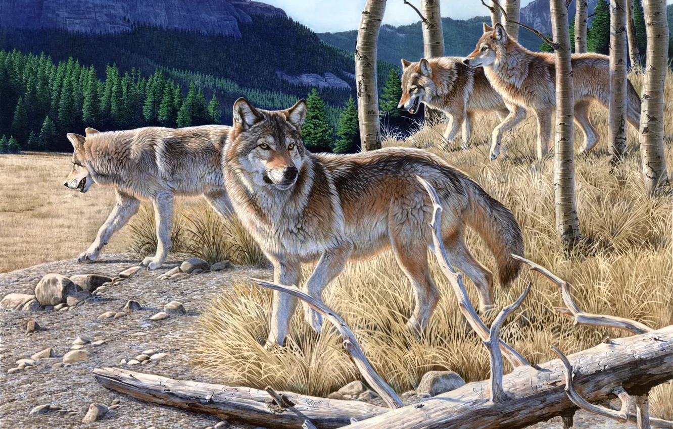 Photo wallpaper autumn, forest, mountains, yellow grass, wolf, painting, Dry, Al Agnew