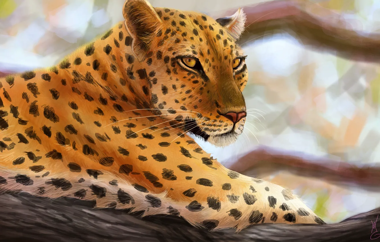 Photo wallpaper predator, art, leopard, lying