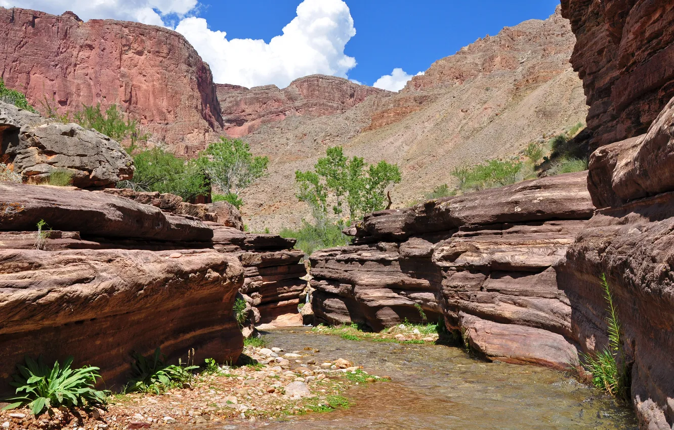Photo wallpaper the sky, clouds, trees, rocks, canyon, river