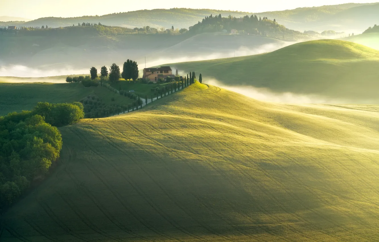 Photo wallpaper mountains, fog, hills