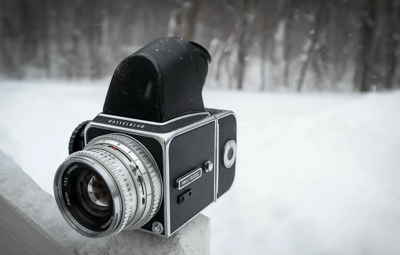 Photo wallpaper macro, background, camera