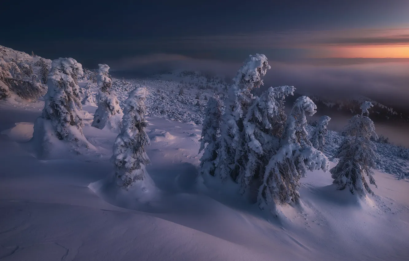 Photo wallpaper winter, forest, the sky, clouds, snow, trees, mountains, fog