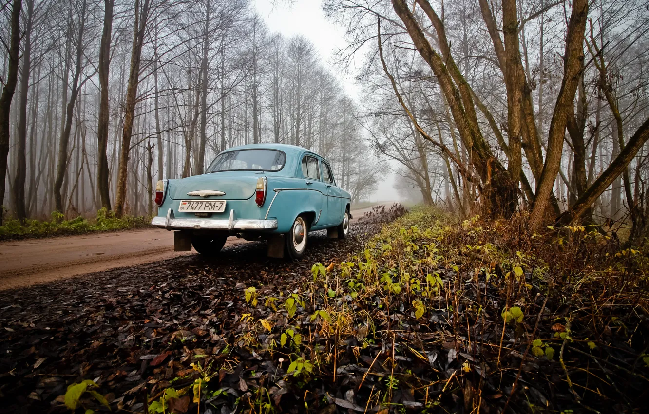Photo wallpaper USSR, forest, retro, fog, moskvich