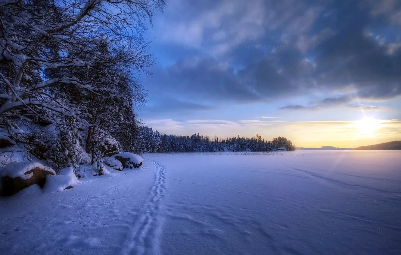 Photo wallpaper winter, field, snow, landscape