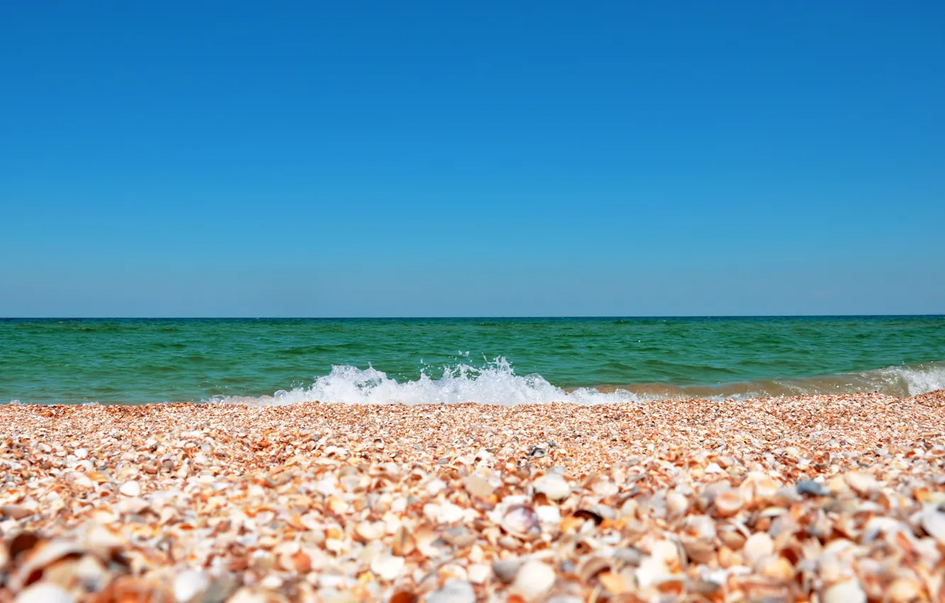 Photo wallpaper sea, the sky, landscape, nature, shell, Crimea, The sea of Azov, the sand is made …