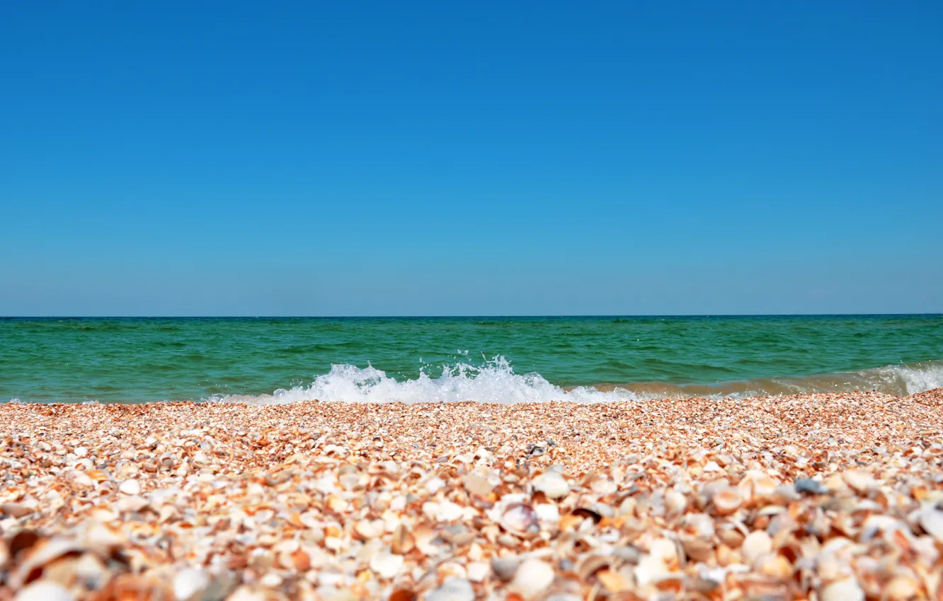 Photo wallpaper sea, the sky, landscape, nature, shell, shell, Crimea, the sand is made of seashells