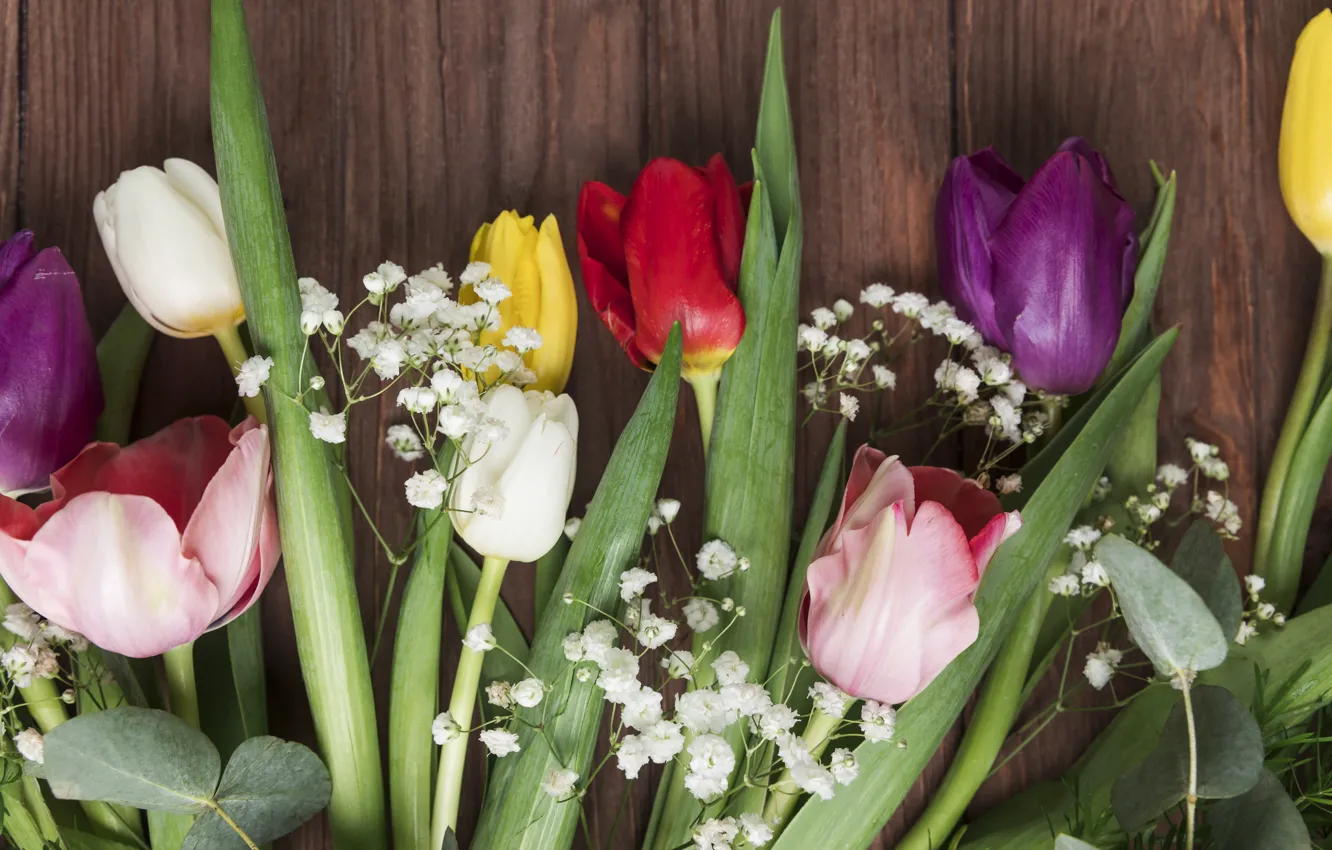 Photo wallpaper flowers, colorful, tulips, flowers, beautiful, tulips, spring, multicolored