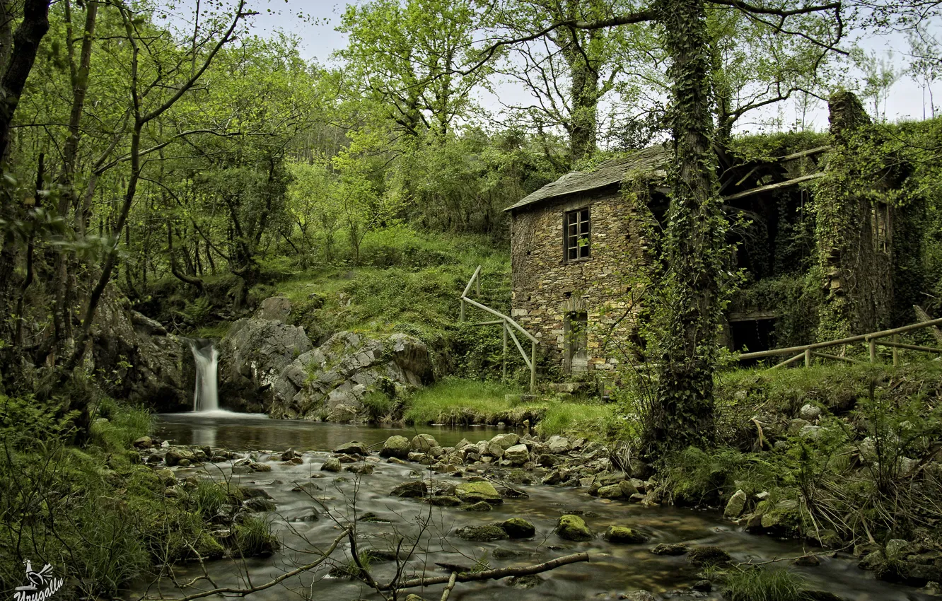 Photo wallpaper forest, trees, nature, house, river, stones, waterfall, Spain