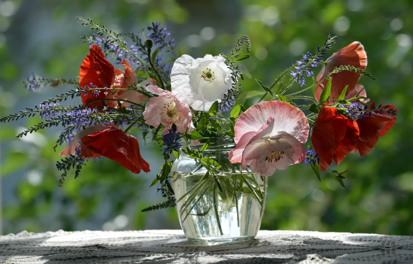 Photo wallpaper flowers, nature, background