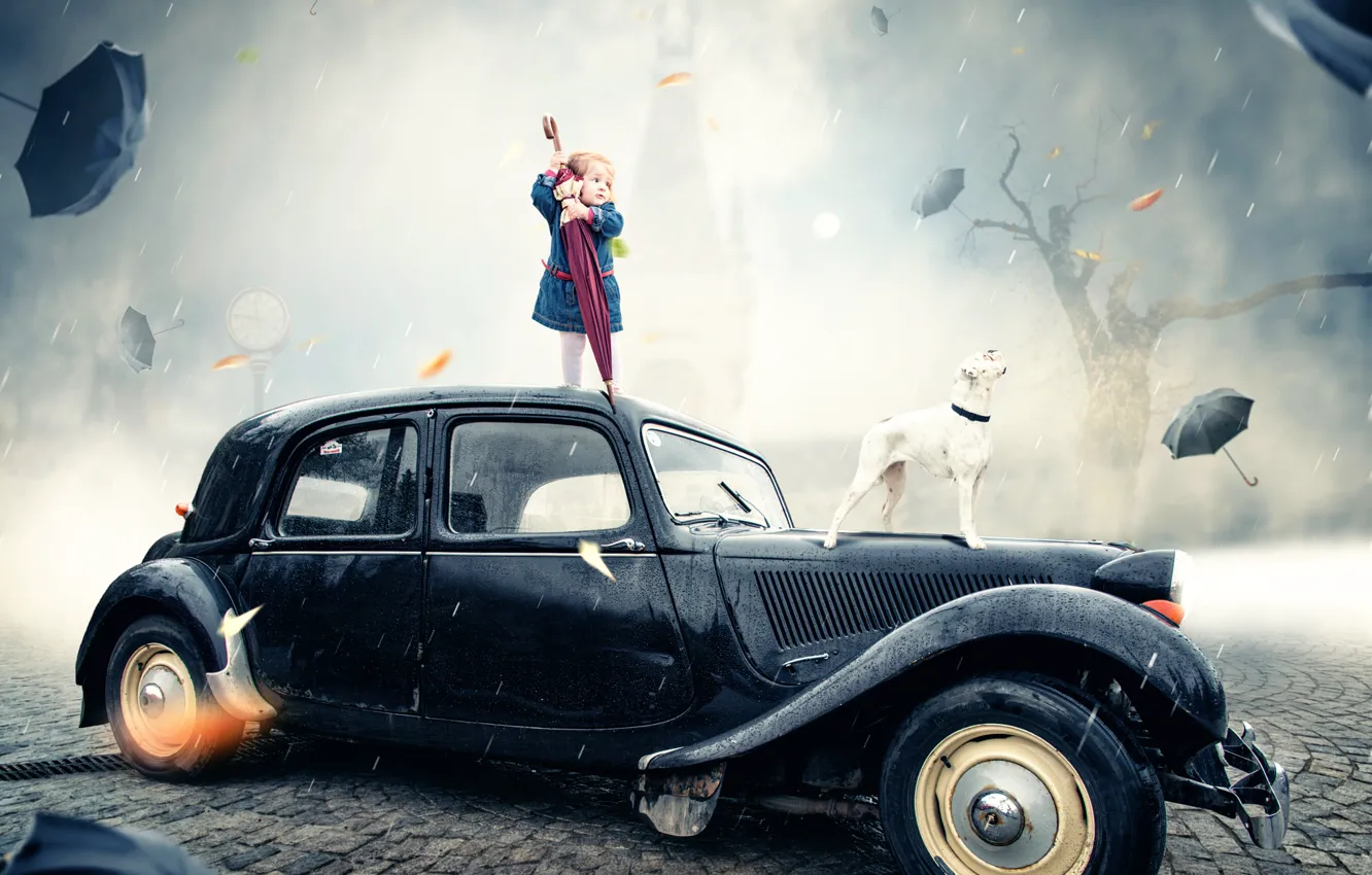 Photo wallpaper auto, dog, umbrella, girl