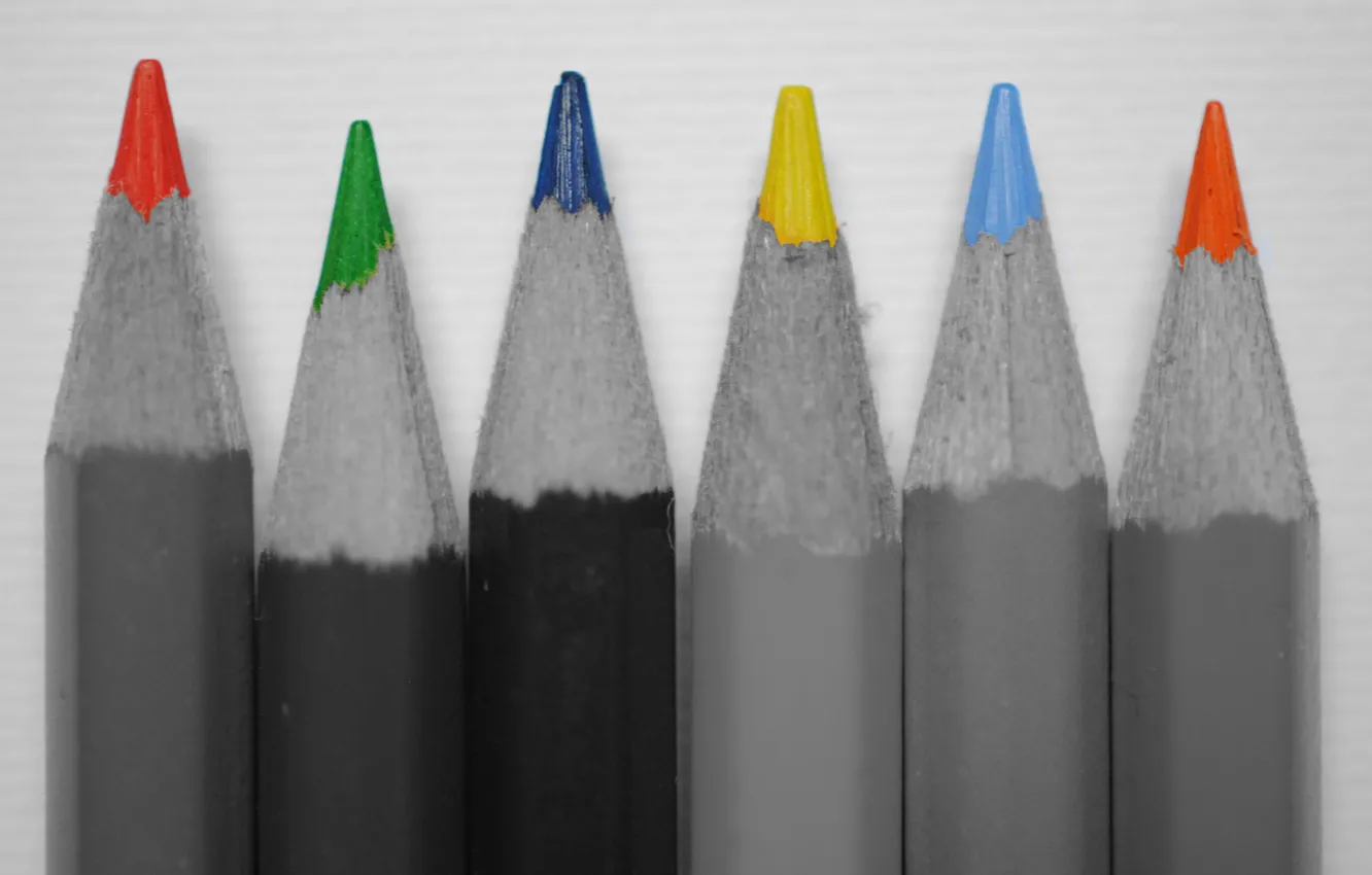 Photo wallpaper paint, pencils, drawing, stylus