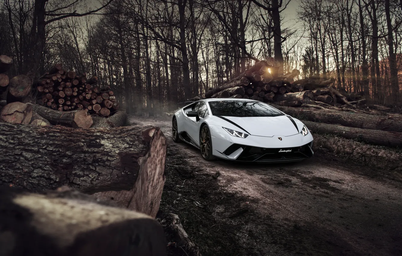 Photo wallpaper Lamborghini, White, Autumn, Evening, Forest, VAG, Performante, Huracan