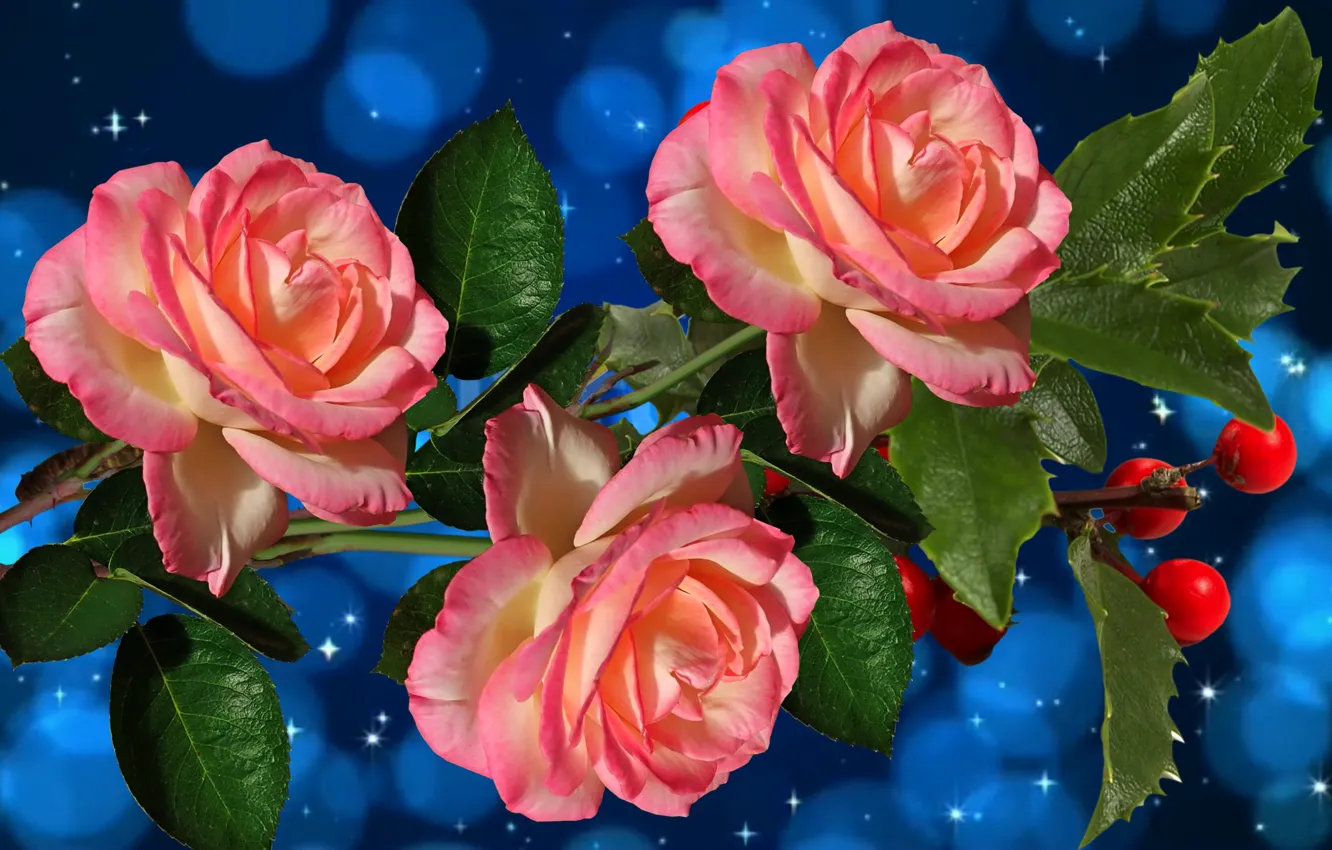 Photo wallpaper winter, holiday, bouquet, Roses