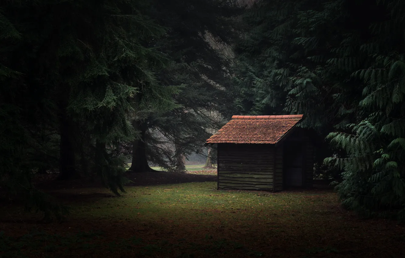 Photo wallpaper forest, the barn, tile