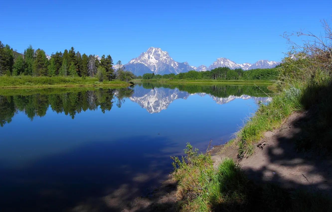 Photo wallpaper greens, forest, the sky, grass, water, the sun, trees, mountains