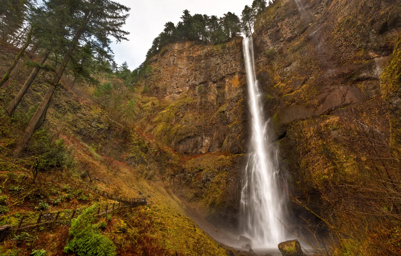 Photo wallpaper trees, rocks, waterfall, USA, Oregon, Multnomah Falls