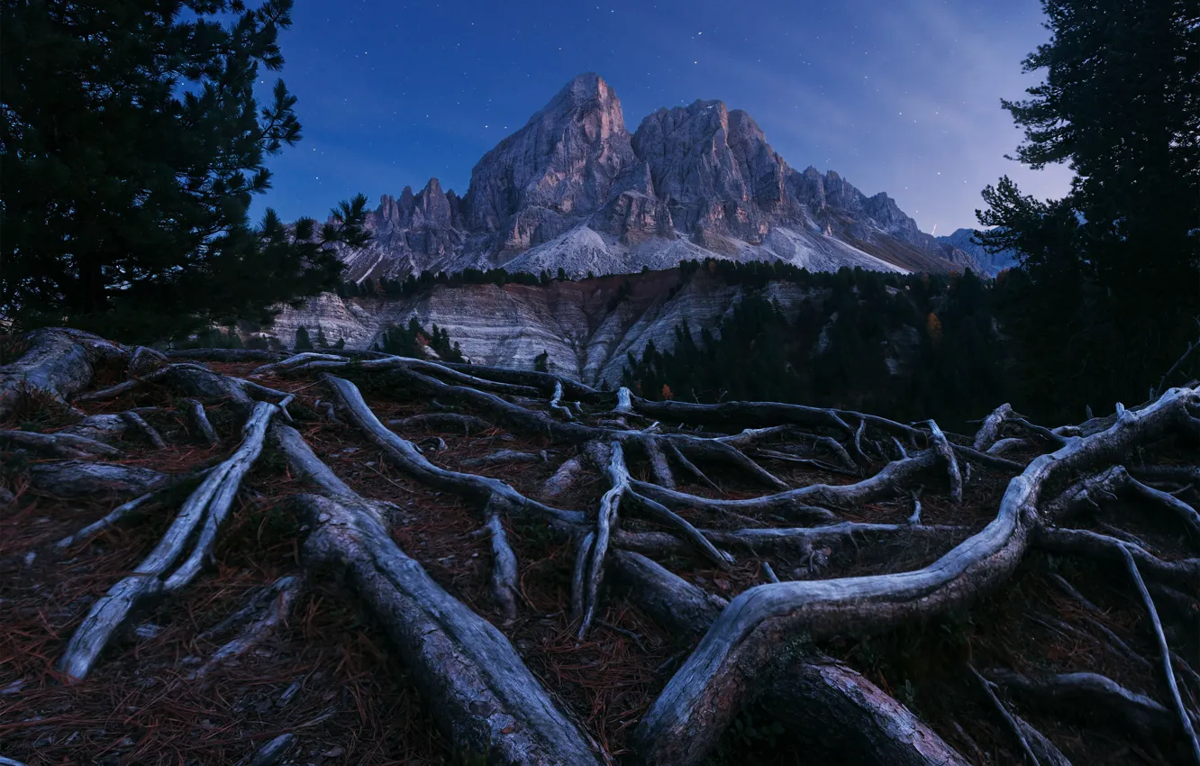 Photo wallpaper stars, mountains, roots, Twilight Opera