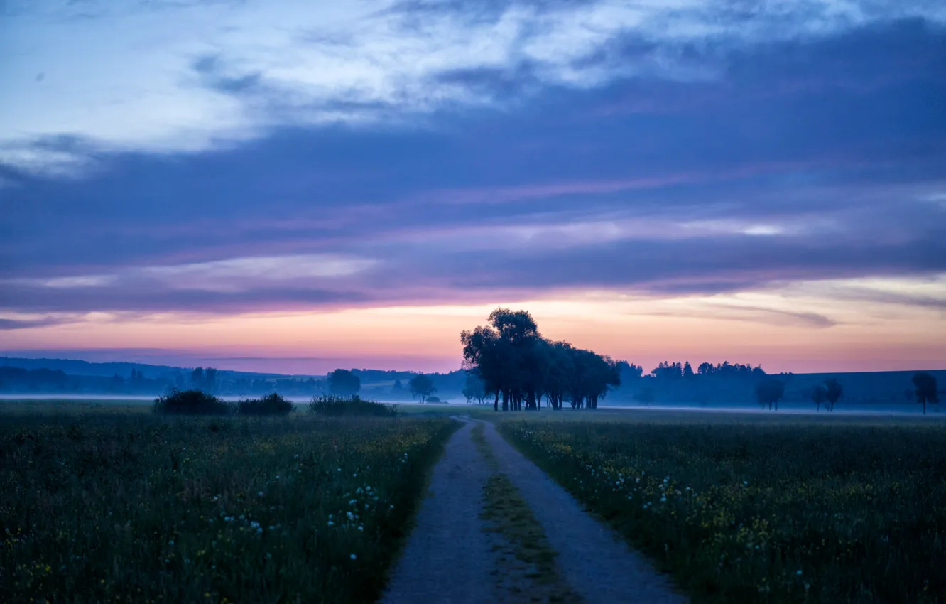 Photo wallpaper road, fog, spring, the evening, morning