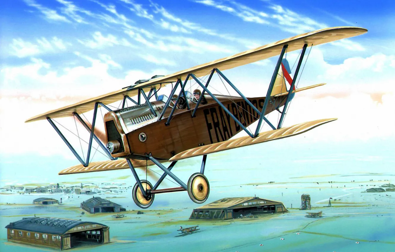 Photo wallpaper art, airplane, painting, aviation, Ansaldo SVA