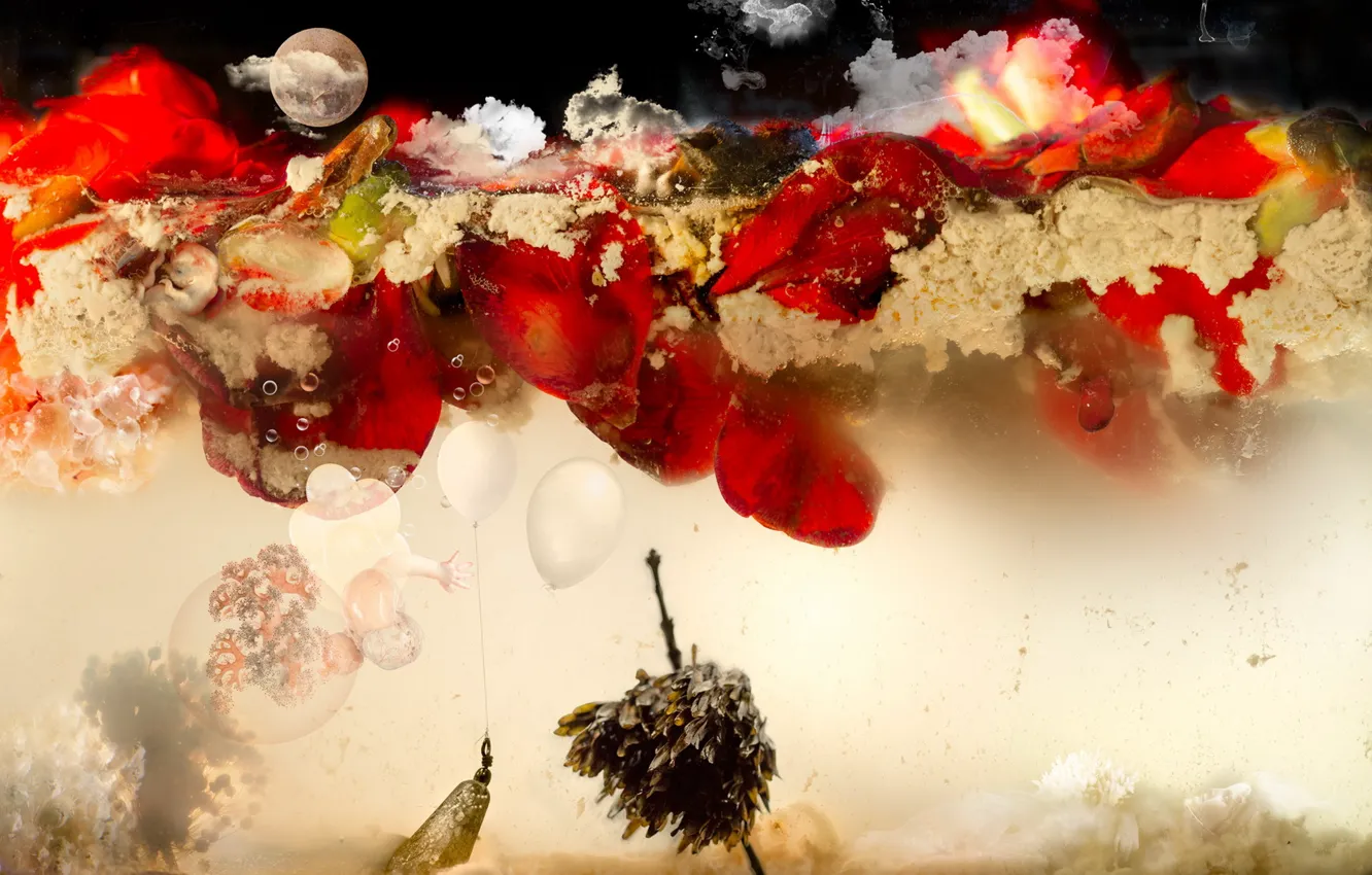 Photo wallpaper red, moon, water, flowers, aquarium