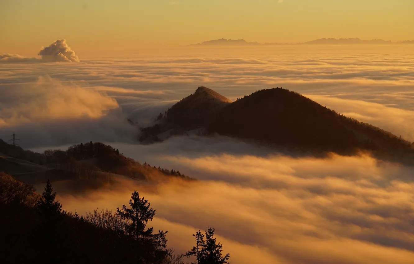 Photo wallpaper the sky, clouds, trees, mountains